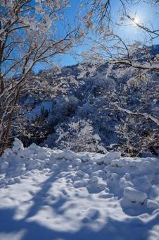 250320秋山郷清水川原、結東 250320秋山郷清水川原、結東の写真