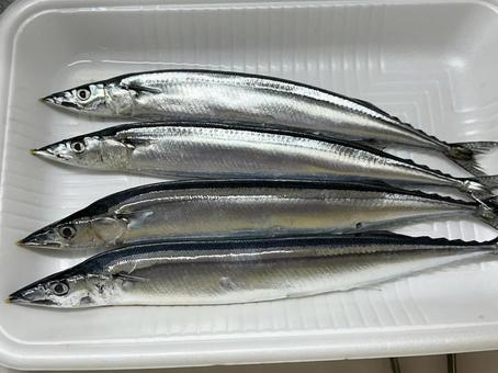 生サンマ 生サンマの写真