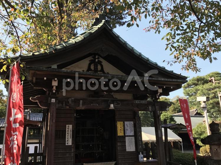 川越喜多院大黒天堂の秋 川越,喜多院,川越七福神の写真素材