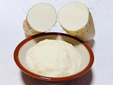 大和芋とトロロ 大和芋,ヤマトイモ,山芋の写真素材