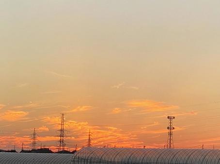 田舎の夕焼け1 田舎の夕焼け1 夕焼け,雲,空の写真素材