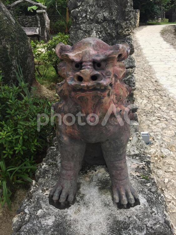 シーサー　沖縄　今帰仁　 寺,彫像,旅の写真素材