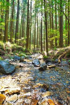 川(キャンプ) 川(キャンプ) 川,山,水の写真素材