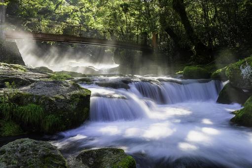熊本-【菊池渓谷の光芒】 熊本,菊池渓谷,川の写真素材
