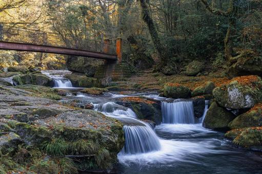 熊本-【菊池渓谷の紅葉】 熊本,菊池渓谷,川の写真素材