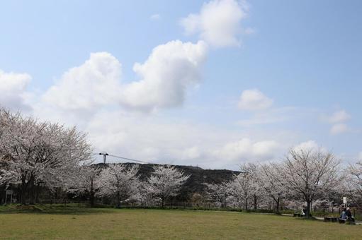 高塔山公園 高塔山公園 若松区大字修多羅,北九州,北九州市の写真素材