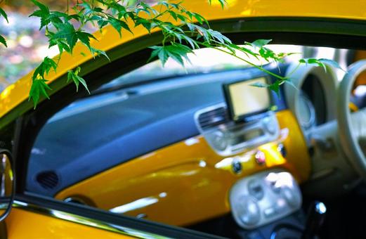 木陰のイタ車と青もみじ④ 木陰のイタ車と青もみじ④の写真