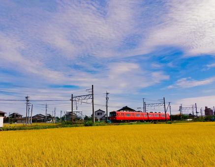 秋空と黄金色の稲穂と電車 秋空と黄金色の稲穂と電車の写真