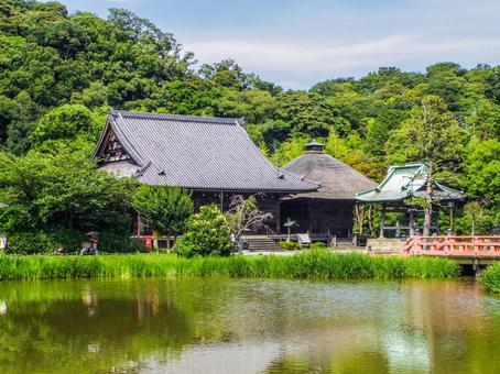 【神奈川県】横浜市・称名寺 【神奈川県】横浜市・称名寺 称名寺,金沢文庫,神奈川県の写真素材