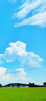 夏空(iPhone size) 夏空(iPhone size)の写真