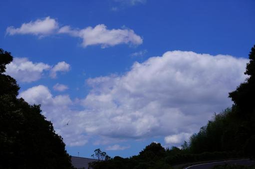 晴れた日の空の風景 晴れた日の空の風景の写真