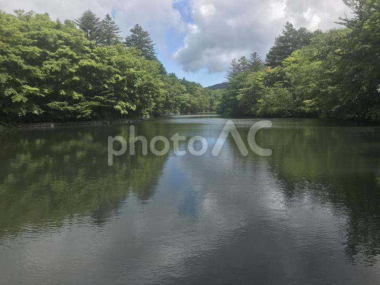 水面が反射した池 池,水面,反射の写真素材