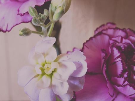 カーネーションなどの花瓶 カーネーションなどの花瓶の写真