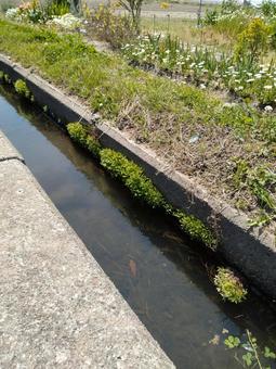 Photo, momento, ogawa, irrigation, 