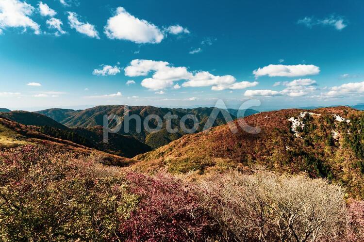 三重県-御在所岳【紅葉】 紅葉,もみじ,山並みの写真素材