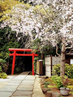 鎌倉の風景 鎌倉の風景の写真