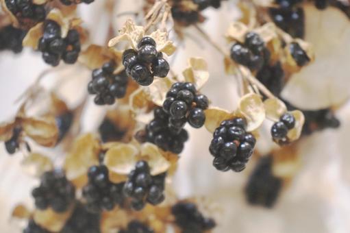 木の実のドライフラワー 木の実,ドライフラワー,植物の写真素材