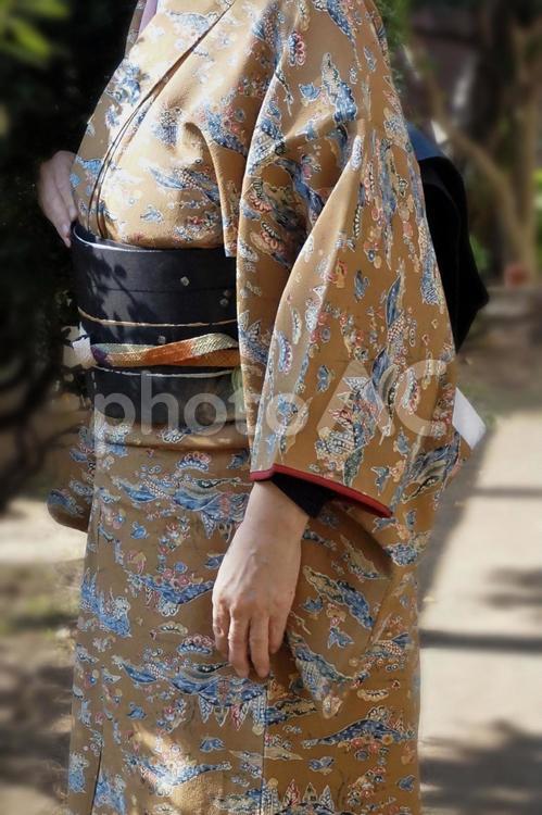 和服の女性（沖縄弁柄風・黒地帯）① 和服,着物,女性の写真素材