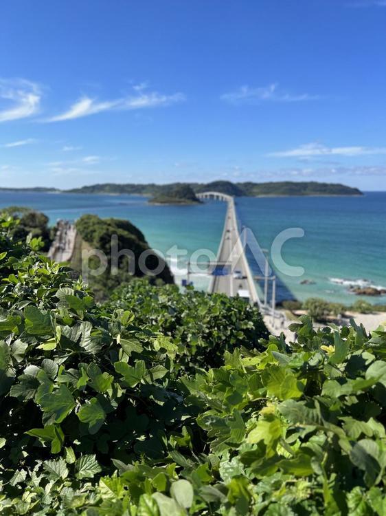角島大橋 橋,角島大橋,晴れの写真素材