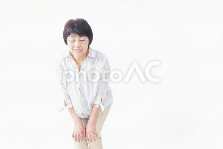 膝の痛みを感じる高齢者の女性 病気,グルコサミン,神経の写真素材