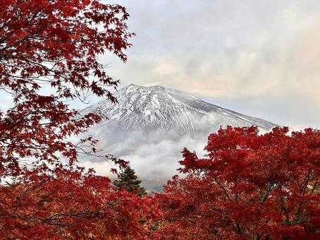 紅葉と雲があける時の富士山 富士山,紅葉,もみじの写真素材