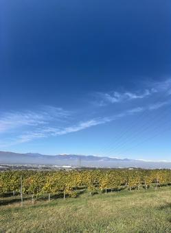 東雲の丘から見た北アルプス 北アルプス,信州,長野県の写真素材