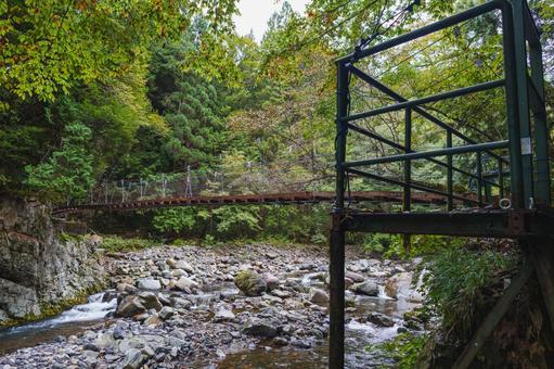 濁河川にかかる吊り橋 吊り橋,橋,川の写真素材