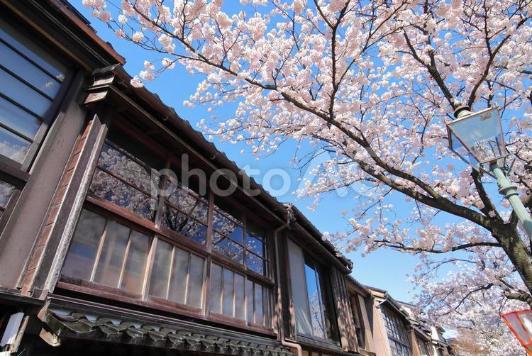 金沢市の主計町の茶屋の景色 アジア,日本,北陸の写真素材