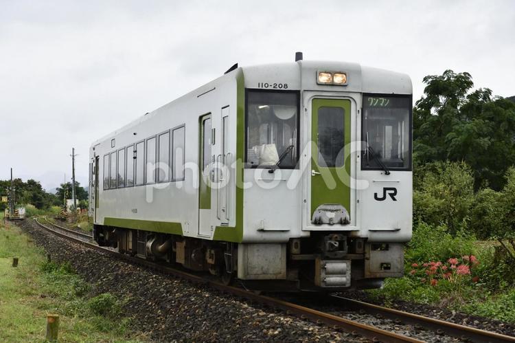 JR東日本　キハ110形気動車 鉄道,乗り物,移動の写真素材