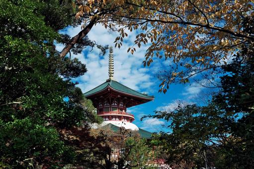 成田山新勝寺　平和大塔 成田山,新勝寺,神社仏閣の写真素材