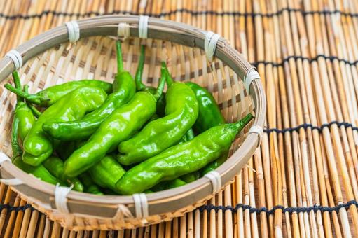 Fresh shishito peppers in a bamboo basket, JPG