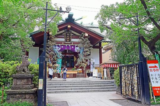 稲毛神社(川崎) 稲毛神社(川崎)の写真