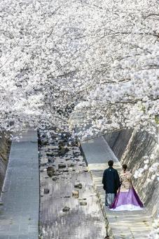 結婚 前撮り 結婚 前撮り 結婚,結婚式,前撮りの写真素材