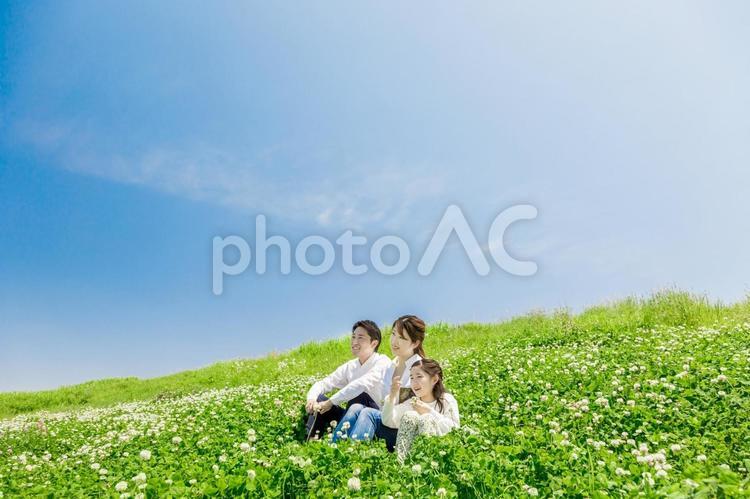 土手に座る家族（シロツメクサ） 人物,家族,女性の写真素材