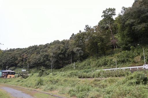 茂木駅周辺の森林地帯 茂木駅周辺の森林地帯の写真