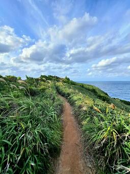 宮古崎 宮古崎,小道,自然の写真素材