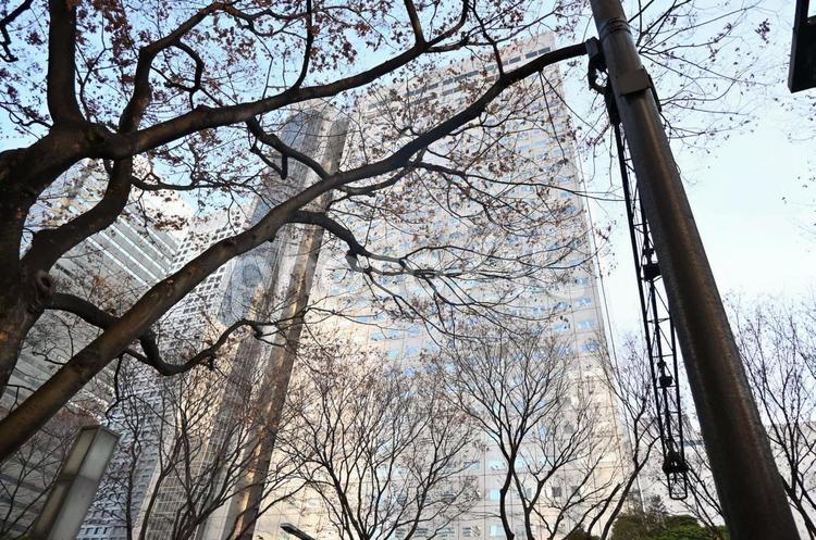 ビルと冬の落葉樹 街並み,路地,ビルの写真素材