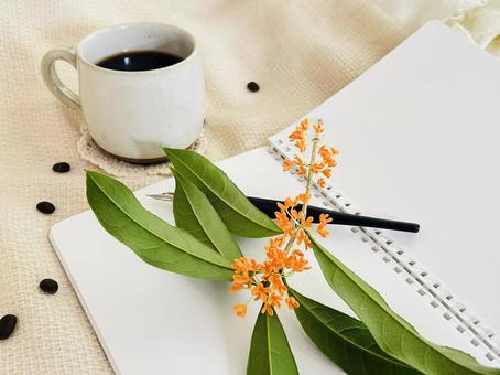 キンモクセイ キンモクセイ,植物,休憩の写真素材