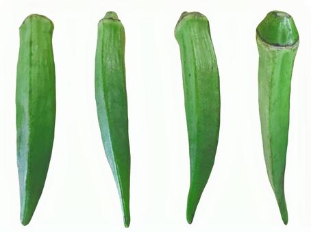 おくら おくら オクラ,夏,野菜の写真素材