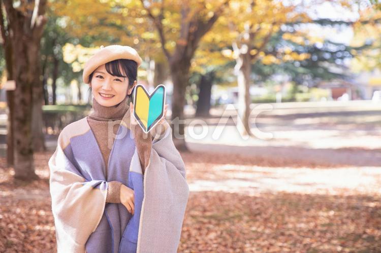 秋の公園にいる初心者マークを持つ女性 初心者,未経験者,秋の写真素材