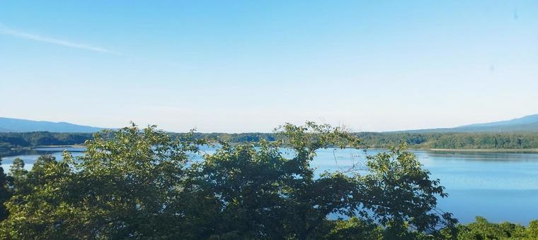 湖 自然,湖,木々の写真素材