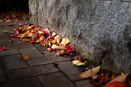 秋の風景 秋の風景 落ち葉,枯れ葉,紅葉の写真素材