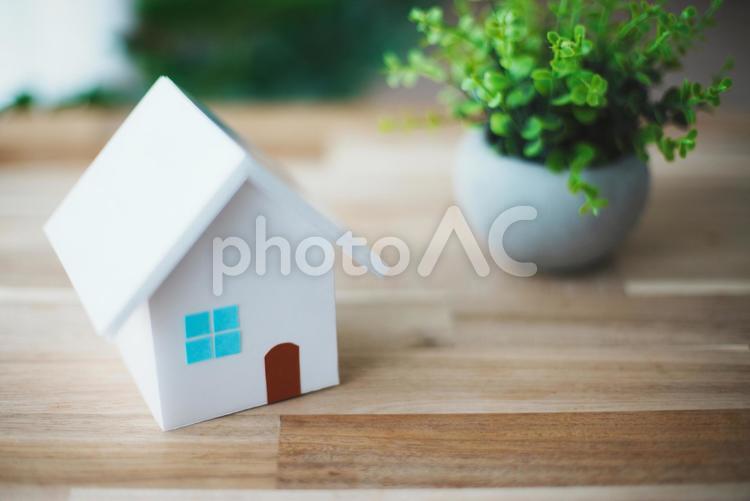 立体的な白い住宅模型と観葉植物 住宅模型,模型,ビジネスの写真素材