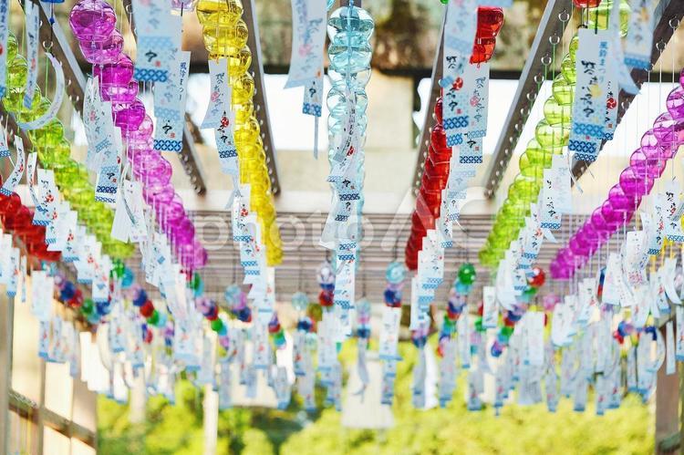 宇部市琴崎八幡宮風鈴祭り8 風鈴,風鈴まつり,風鈴祭りの写真素材