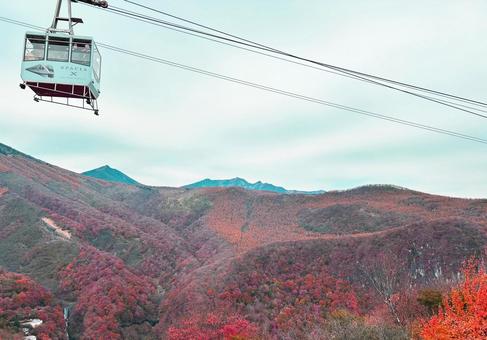 紅葉の中を走るロープウェイ 風景,秋,紅葉の写真素材