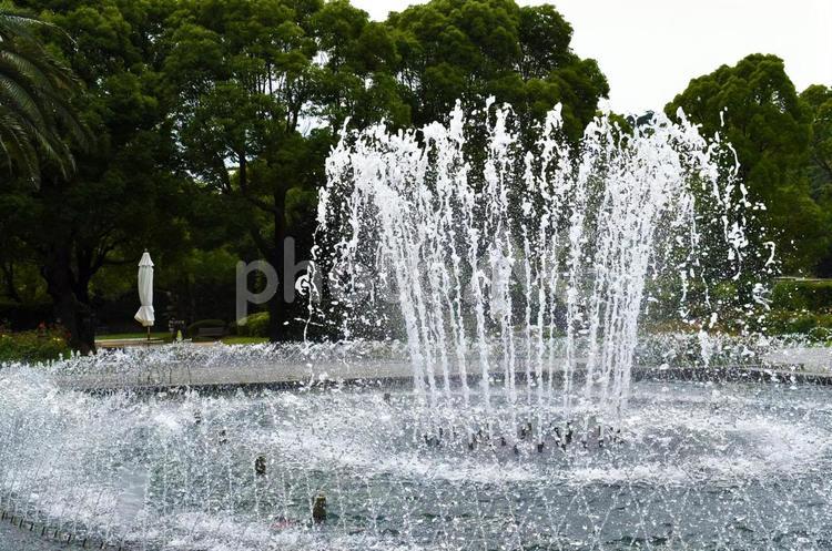 公園の煌めく噴水 噴水,水,水しぶきの写真素材