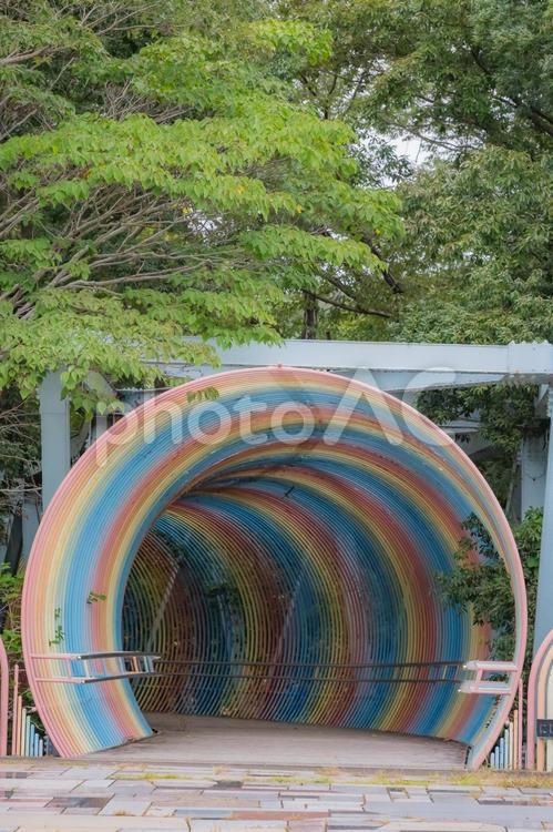 兵庫県　播摩中央公園の風景 播摩中央公園,兵庫,兵庫県の写真素材