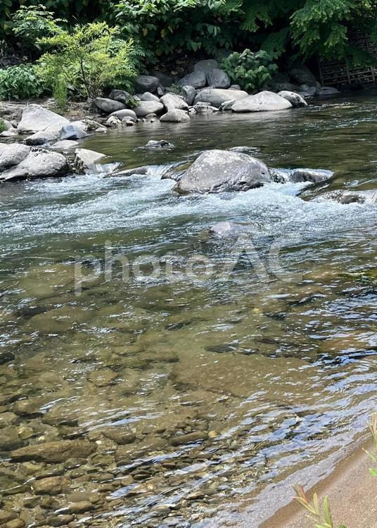 夏を涼しく！（清流）（川） 夏,水,川の写真素材