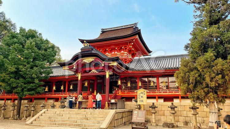 石清水八幡宮　本殿 石清水八幡宮,本殿,神社の写真素材
