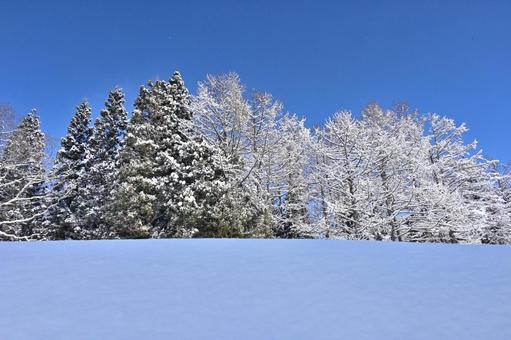 青空と雪の高原の景色（1） 雪景色,雪国,高原の写真素材